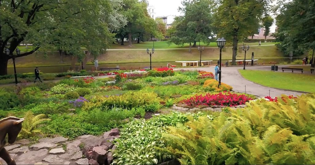 Summer scenery in Riga