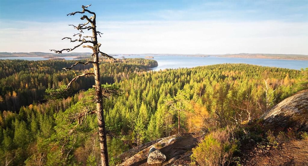  Kangasniemi