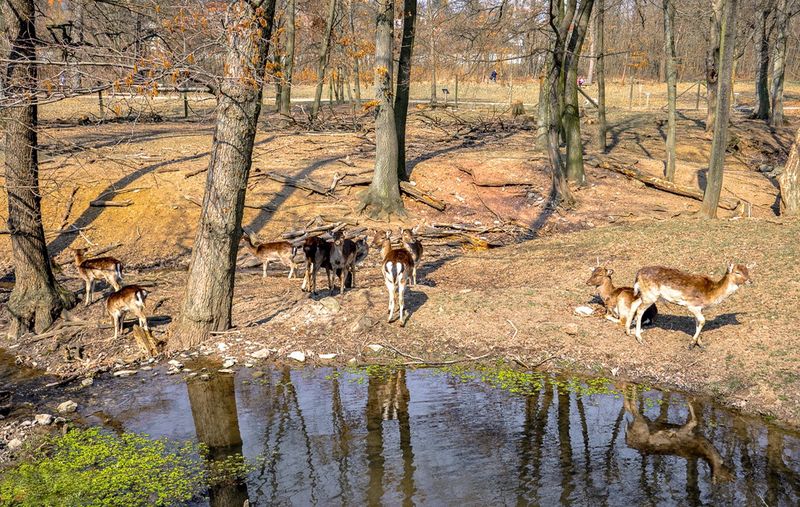Vienna's natural parks