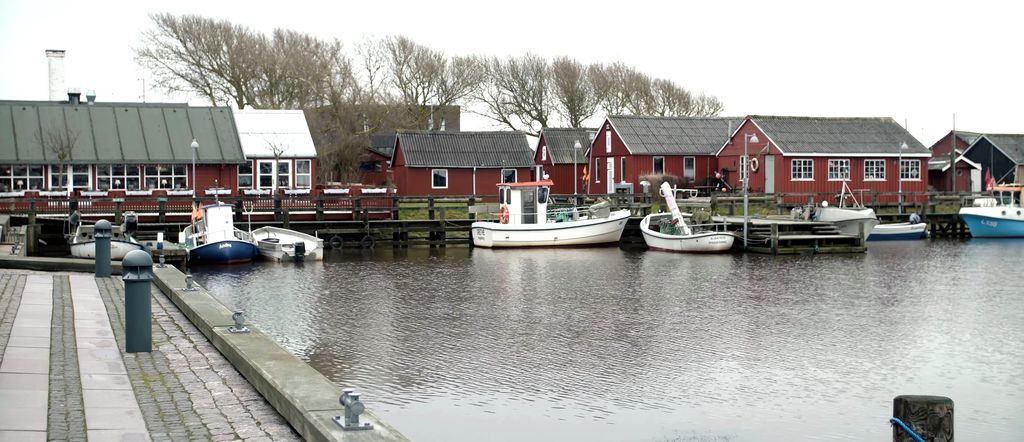 Serene Danish countryside with green fields and windmills