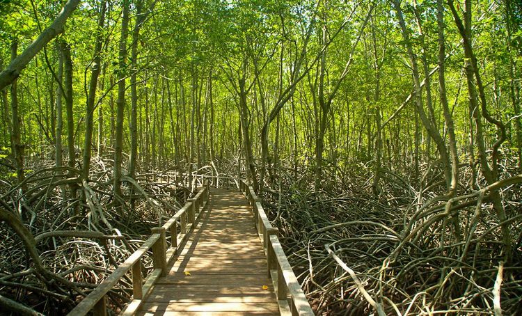 Sirinat National Park beaches in Phuket