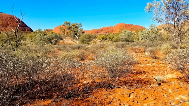 Beautiful Australian outback landscape with unique rock formations