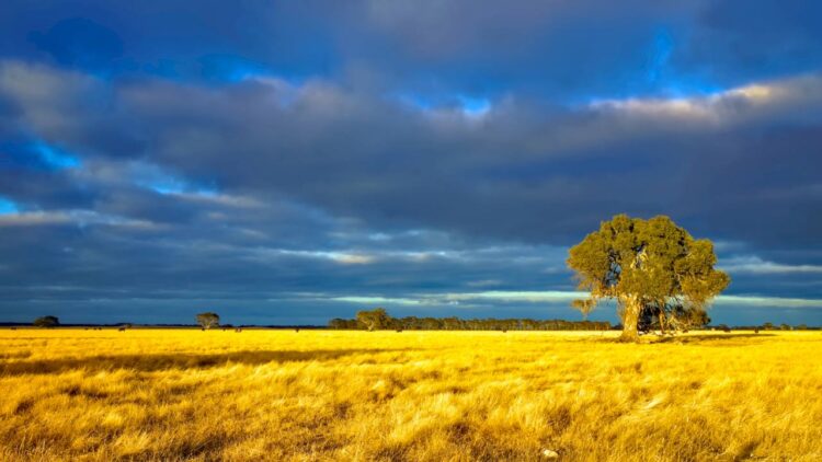 Climate zones map of Australia showing diverse weather patterns