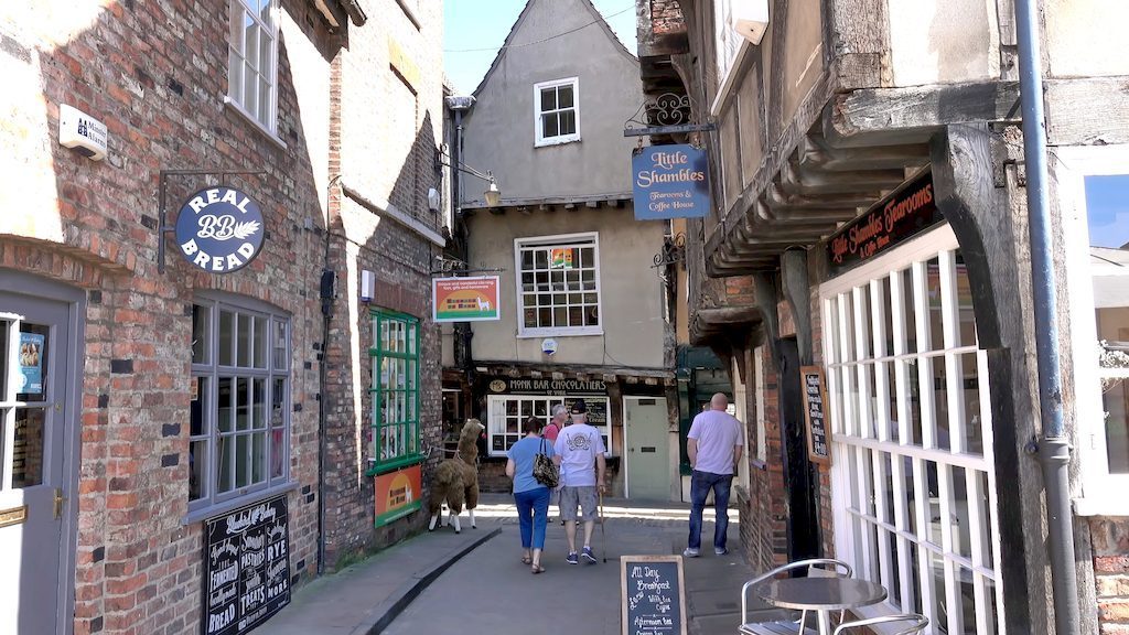 The Shambles historic street with overhanging timber-framed buildings and shops