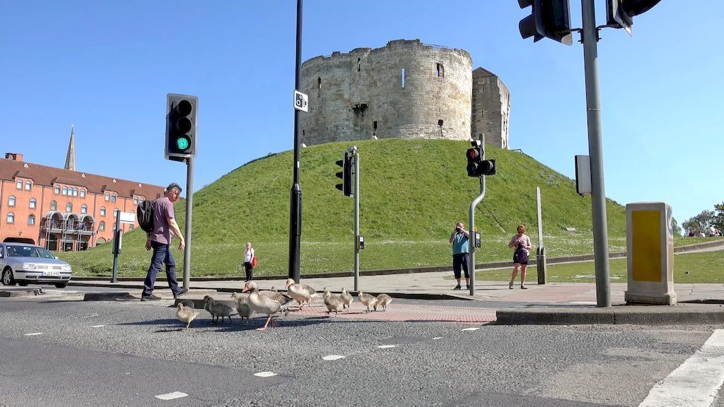 Clifford's Tower hilltop castle ruins at sunset