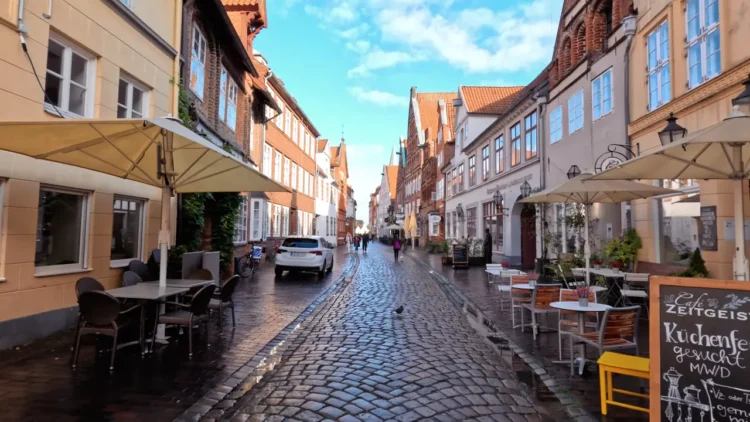 Picturesque Lüneburg landscape with a typical German landscape
