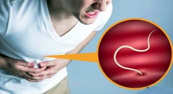 Top 10 Most Dangerous Parasites in the Human Body