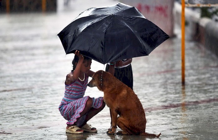Children developing empathy through interaction with animals