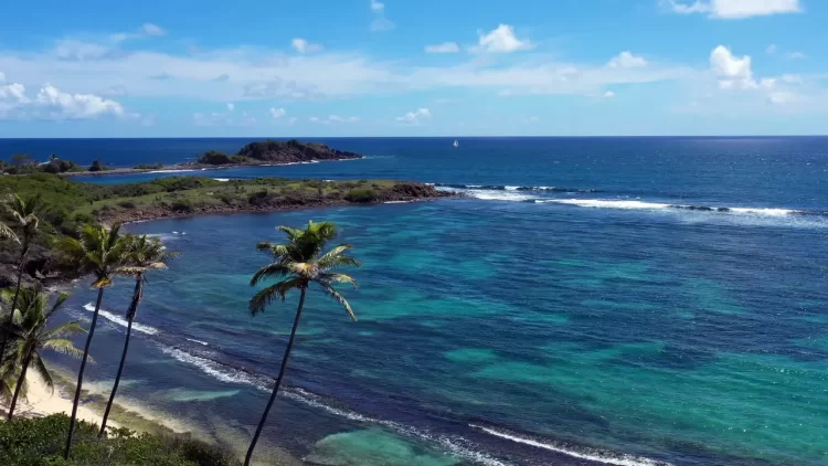 Caribbean Island