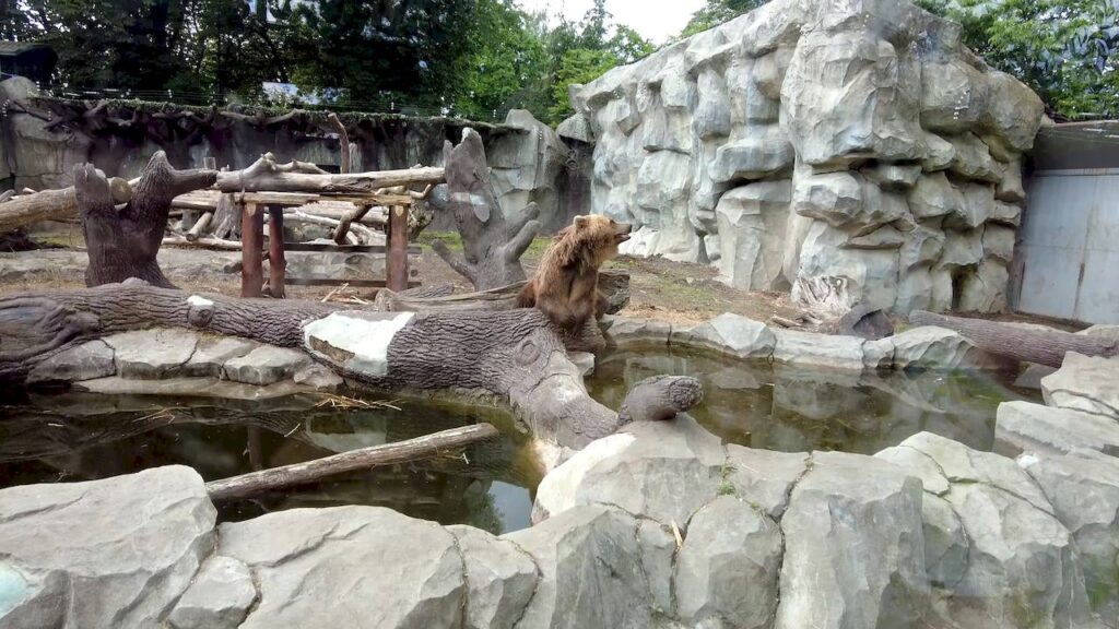 Kyiv Zoo