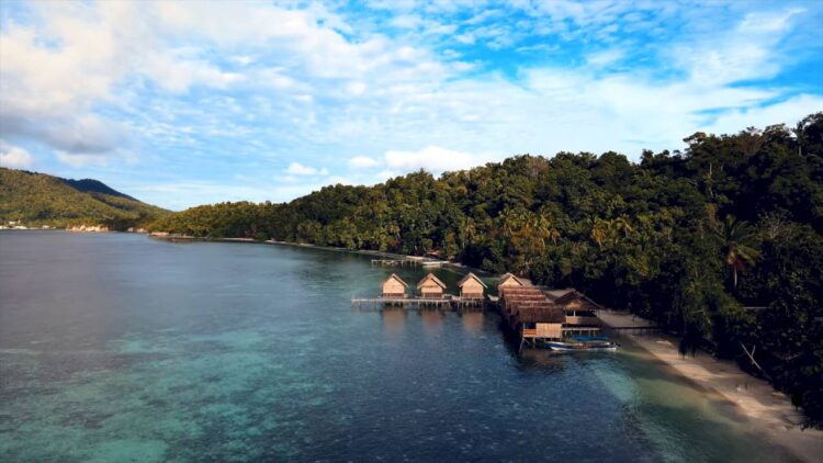 New Guinea