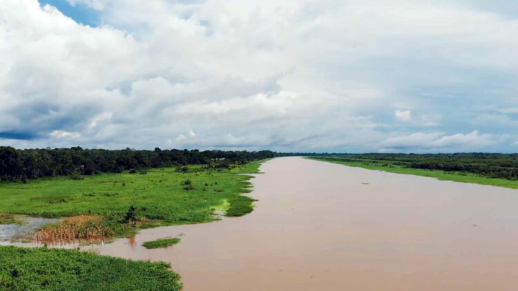 Amazon River flowing through South American rainforest with tributary systems