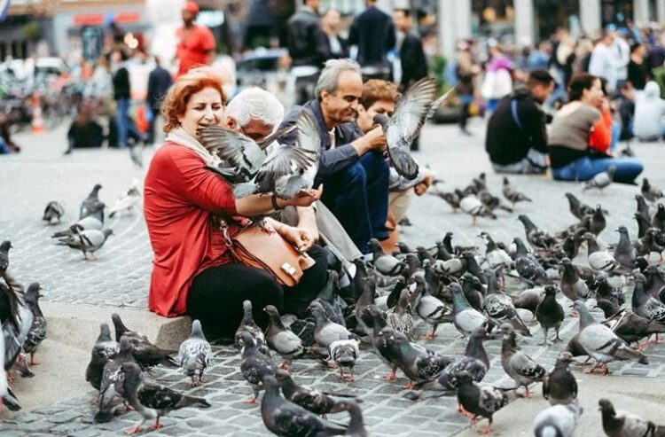 Feeding pigeons