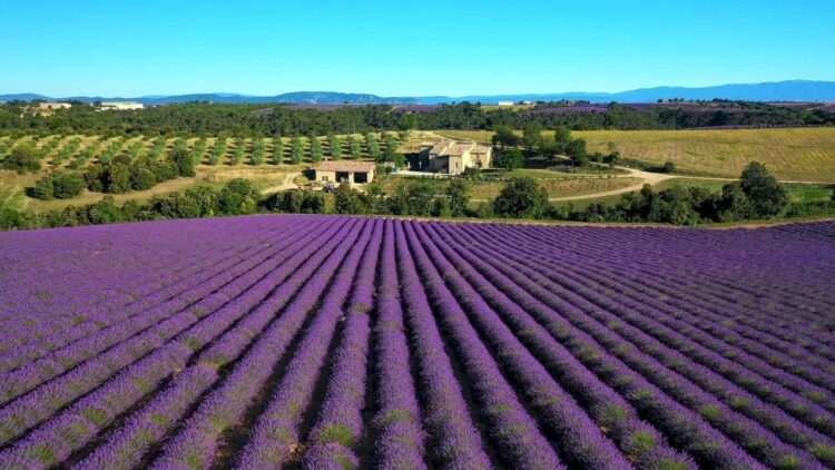 Provence