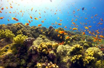 Top 10 Greatest Seas in the World