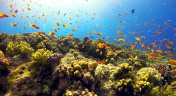 Top 10 Greatest Seas in the World