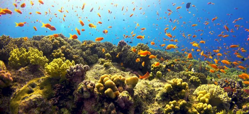 Top 10 Greatest Seas in the World