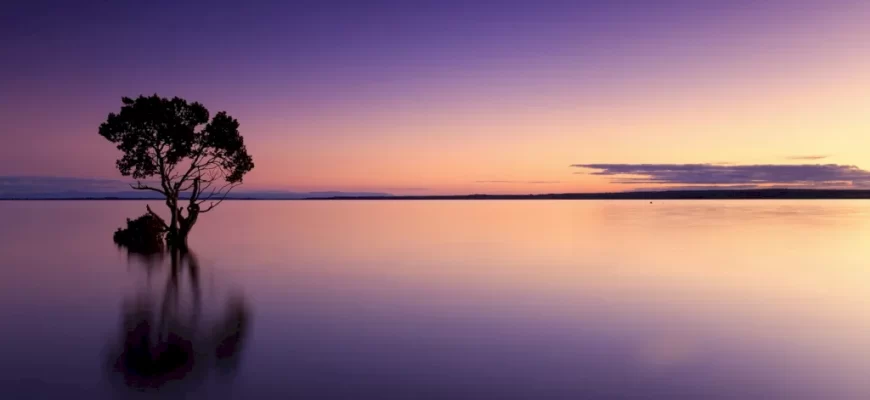 How to Edit Your Photos Like a Pro