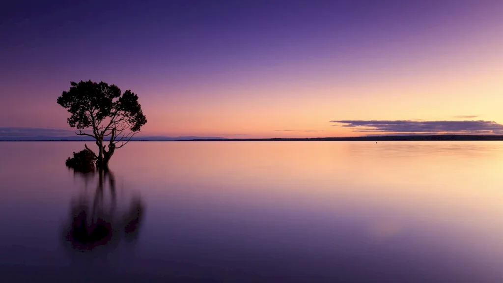 How to Edit Your Photos Like a Pro