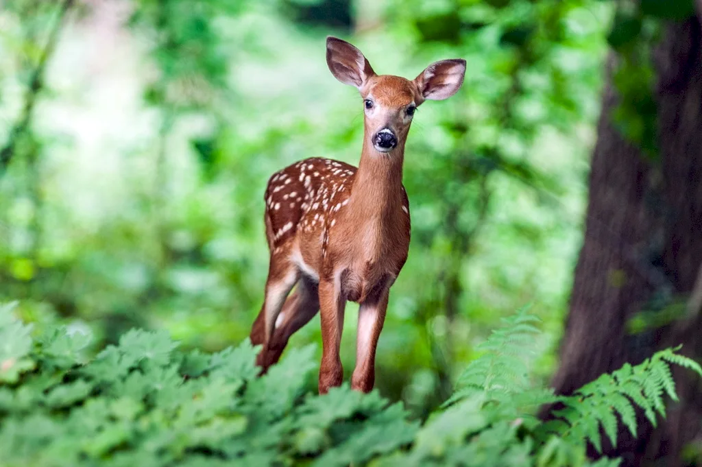 stock photography