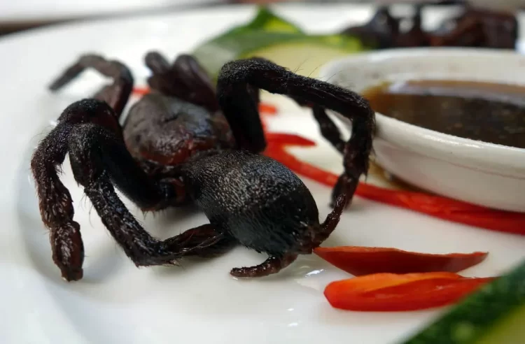 Fried spiders