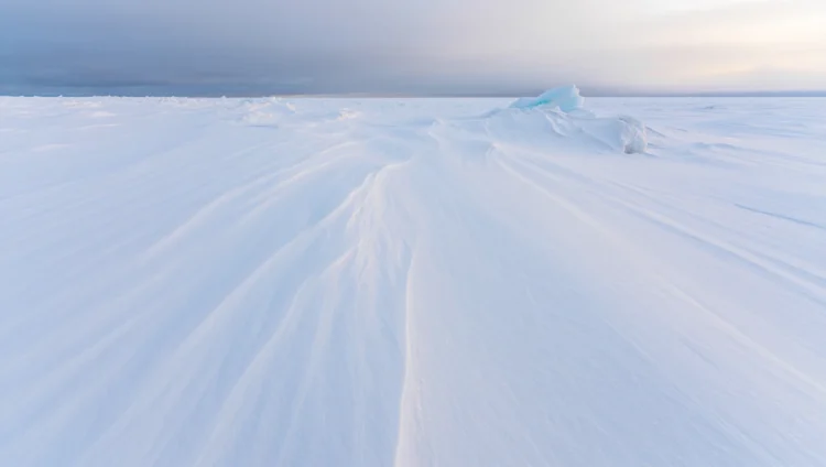 Arctic and Antarctic climate zones with extreme cold and permanent ice