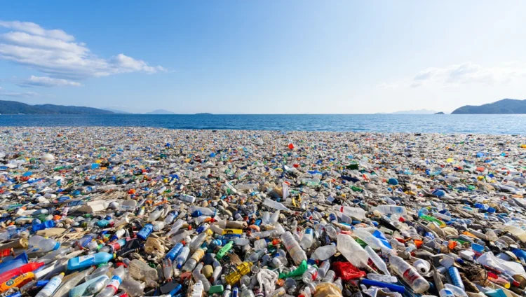 Formation of the Great Pacific Garbage Patch