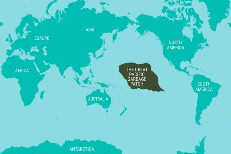 Great Pacific Garbage Patch on world map
