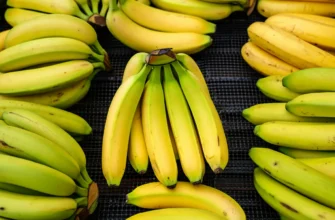10 цікавих фактів про банани