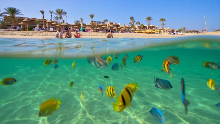 December holidays in Egypt resorts Red Sea beaches