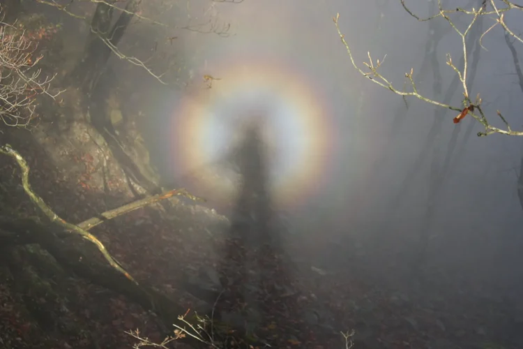 Brocken Spectre showing giant shadow projection on mountain fog