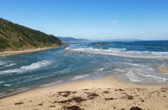 Чому вода в річках прісна, а в морі солона? Чому вода в річках прісна, а в морі солона?